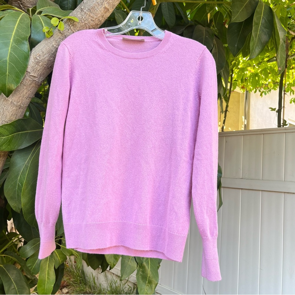 Everlane Cashmere Crew Sweater in Mauve Pink.